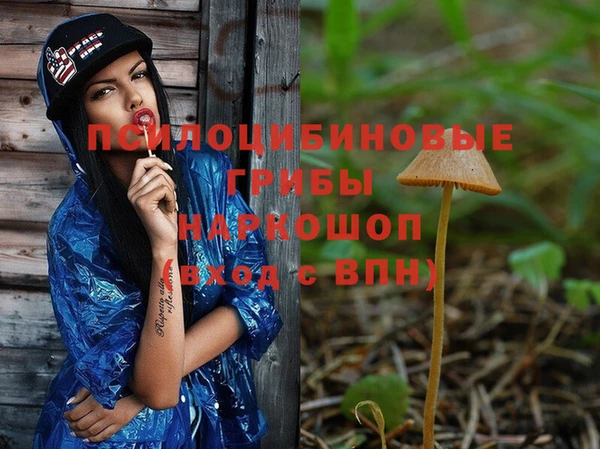 герыч Абаза